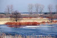 Biebrza National Park