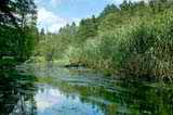 Drawa River