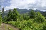 Widok na Tatry Bielskie