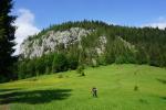 Na polanie pod Piatra Poienii